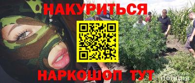 прущие грибы Волгодонск